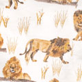 Happy Herbivores & Lions