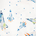 Little Planets & Space Shuttles