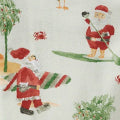 Surfin Santa