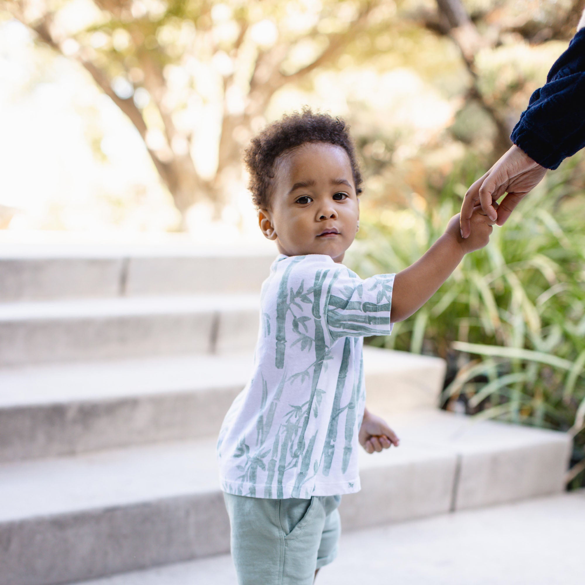Bamboo Forest Tee & Shorts Set – Burt's Bees Baby