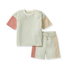Color Blocked Boy Tee & Shorts Set