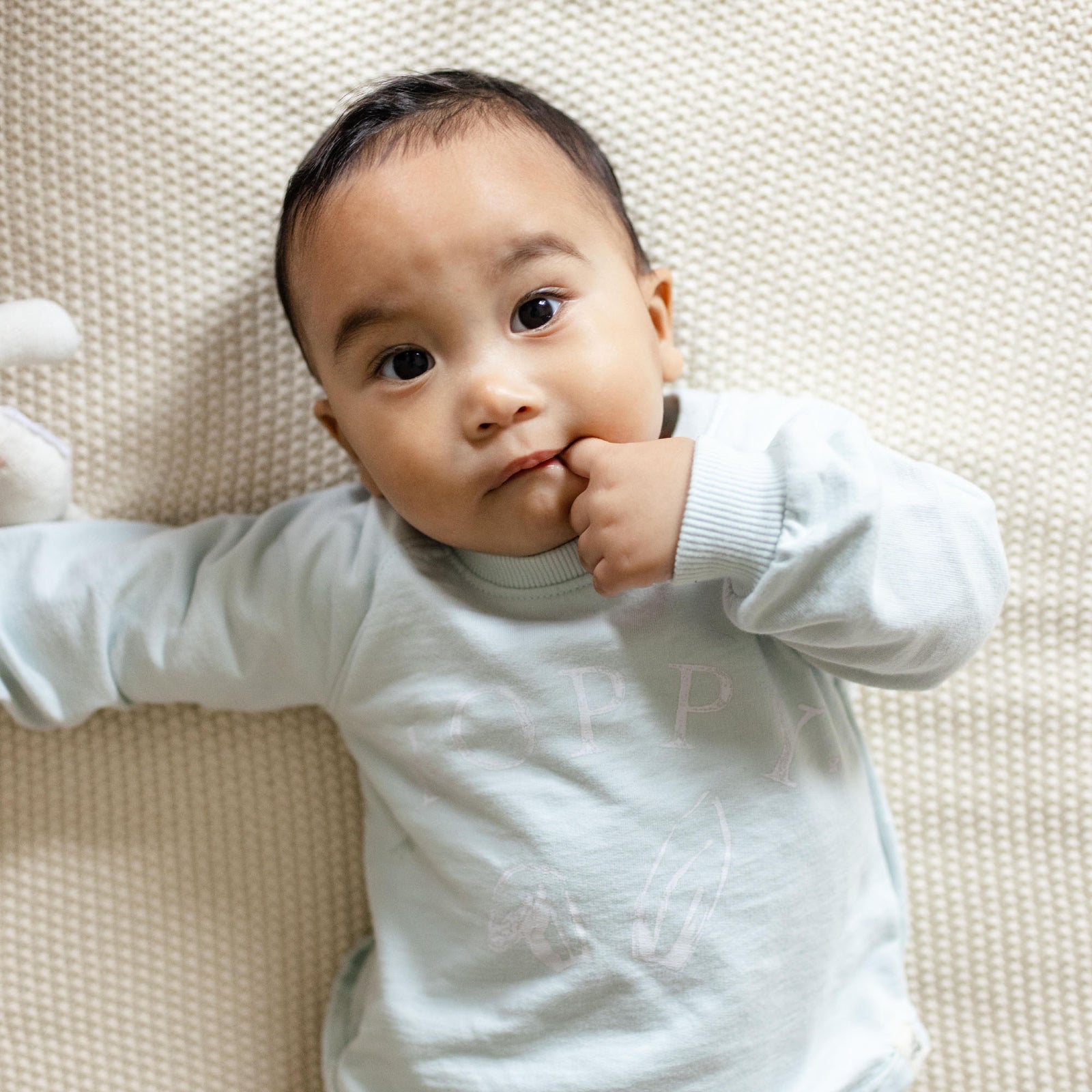 Product Image 1 of Hoppy Blue Organic Cotton Sweatshirt