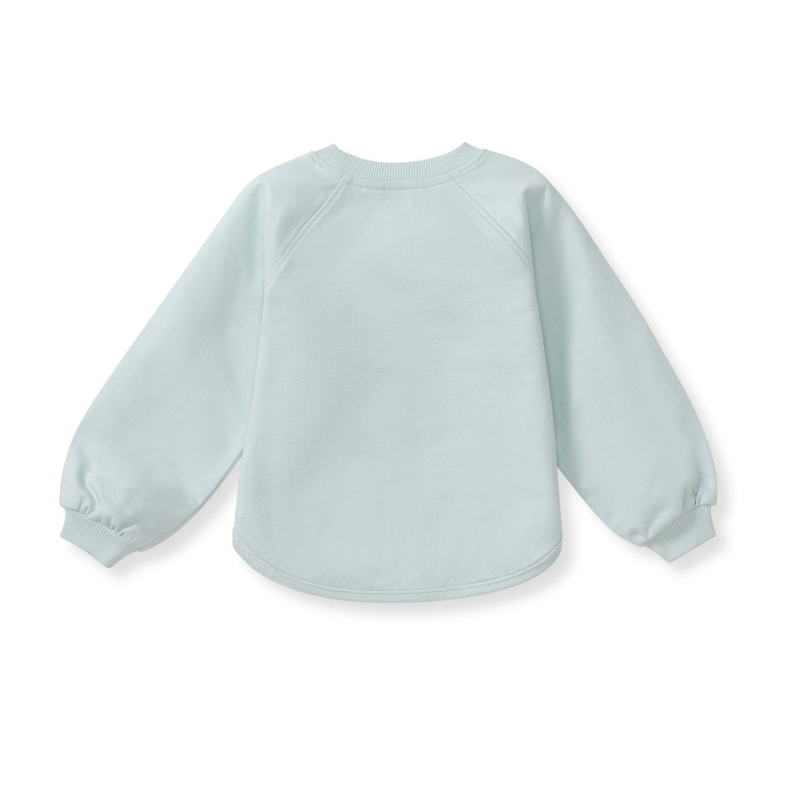 Hoppy Blue Organic Cotton Sweatshirt Back