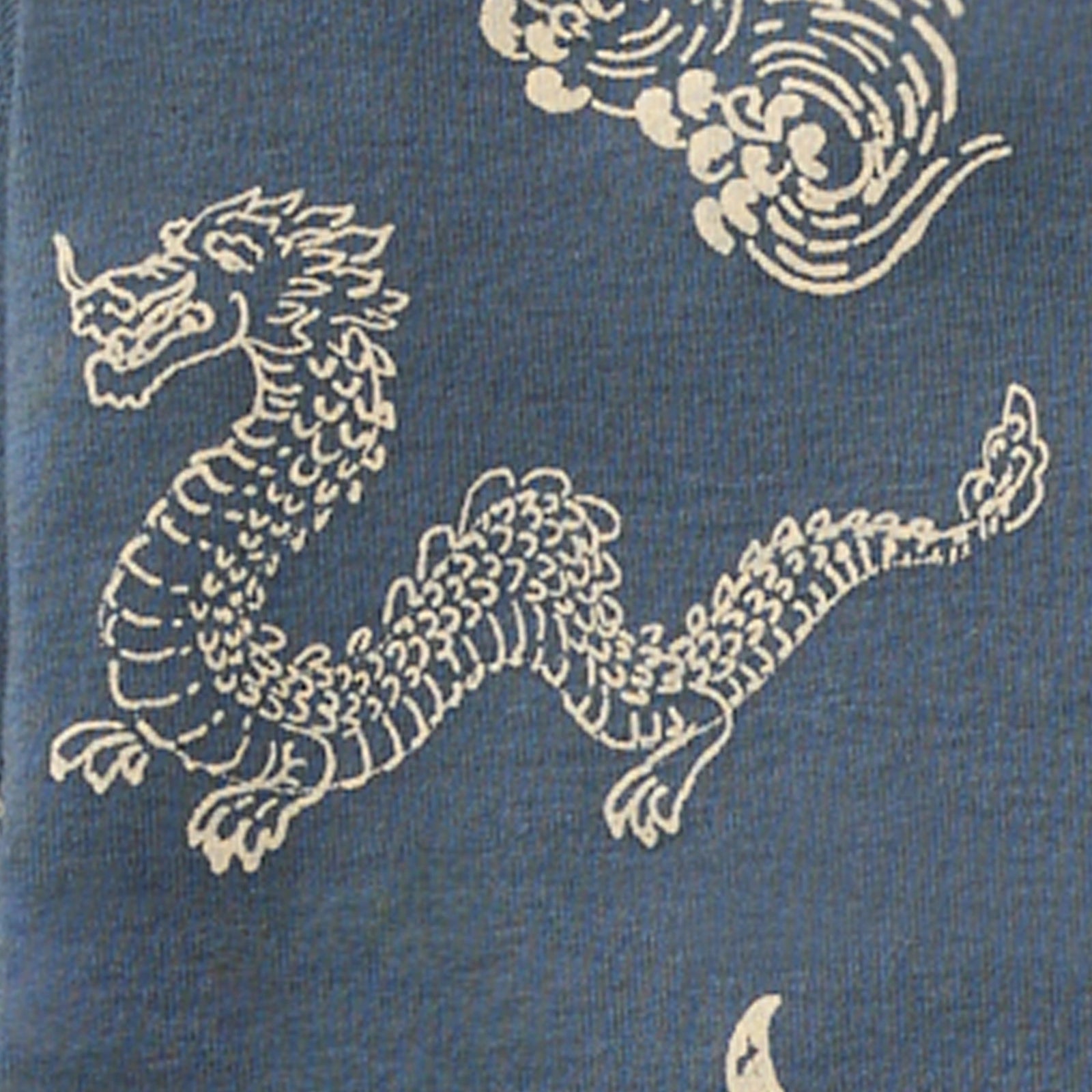 Sea Dragons Organic Cotton Pajamas Swatch