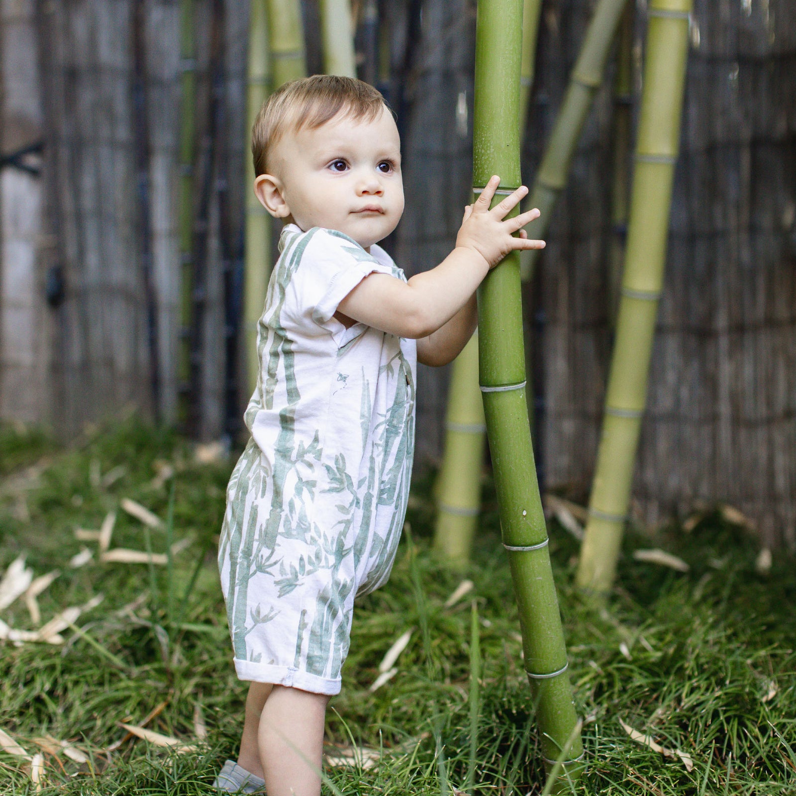 Product Image 1 of Bamboo Forest Baby Boy Romper