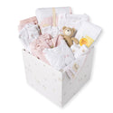 Premium Newborn Baby Girl Shower Gift Set ($300 Value)