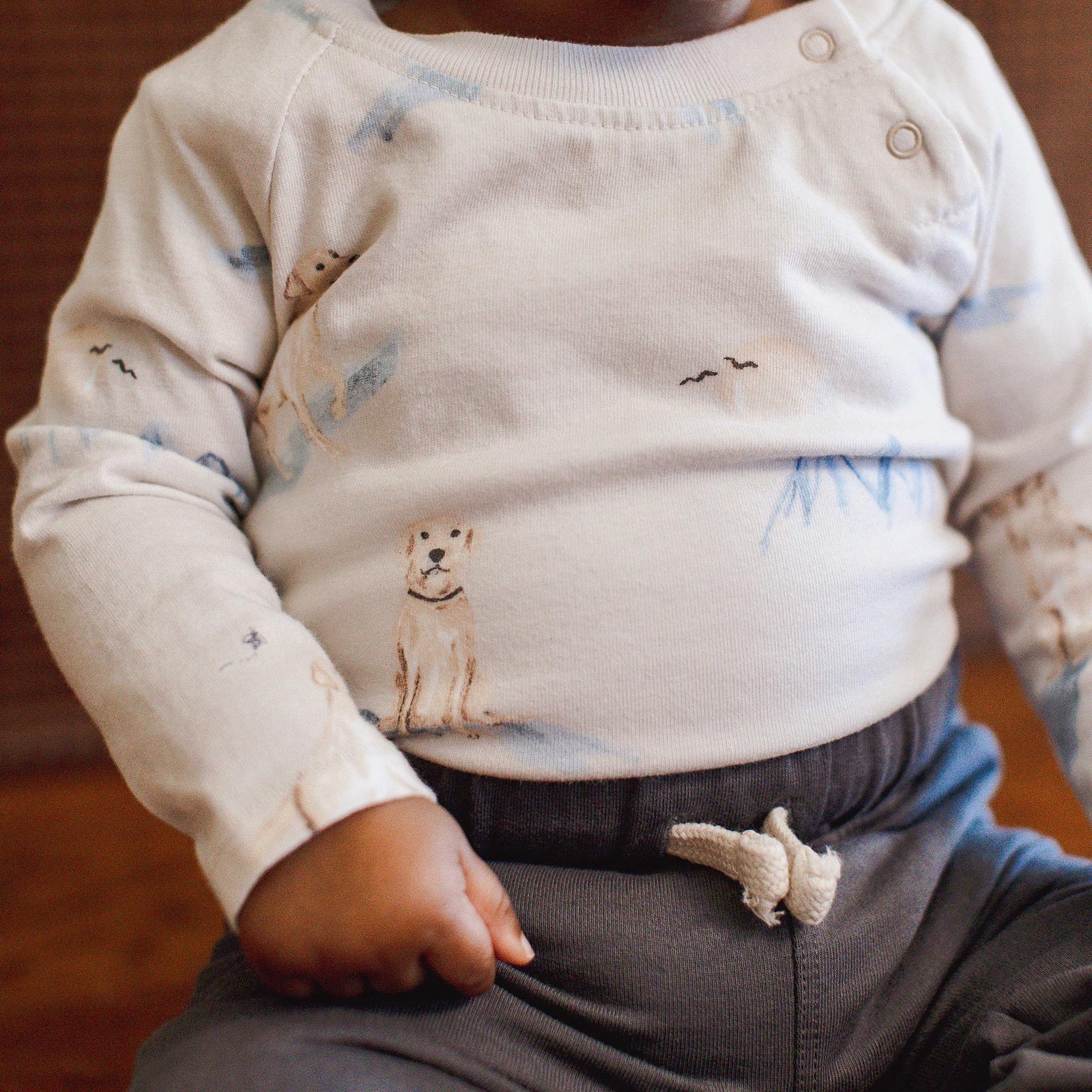 Product Image 1 of Top Dog Baby Boy Bodysuits 2 Pack