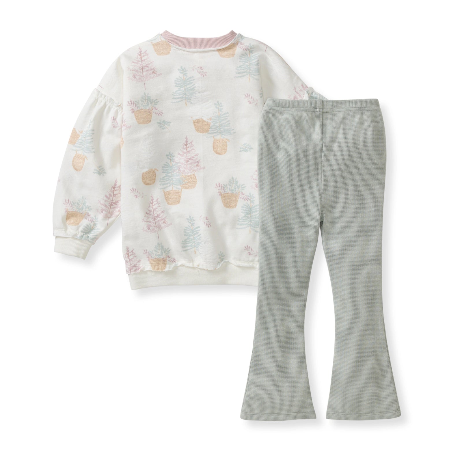 Pretty Pine Farm Organic Sweatshirt & Pants Set Back