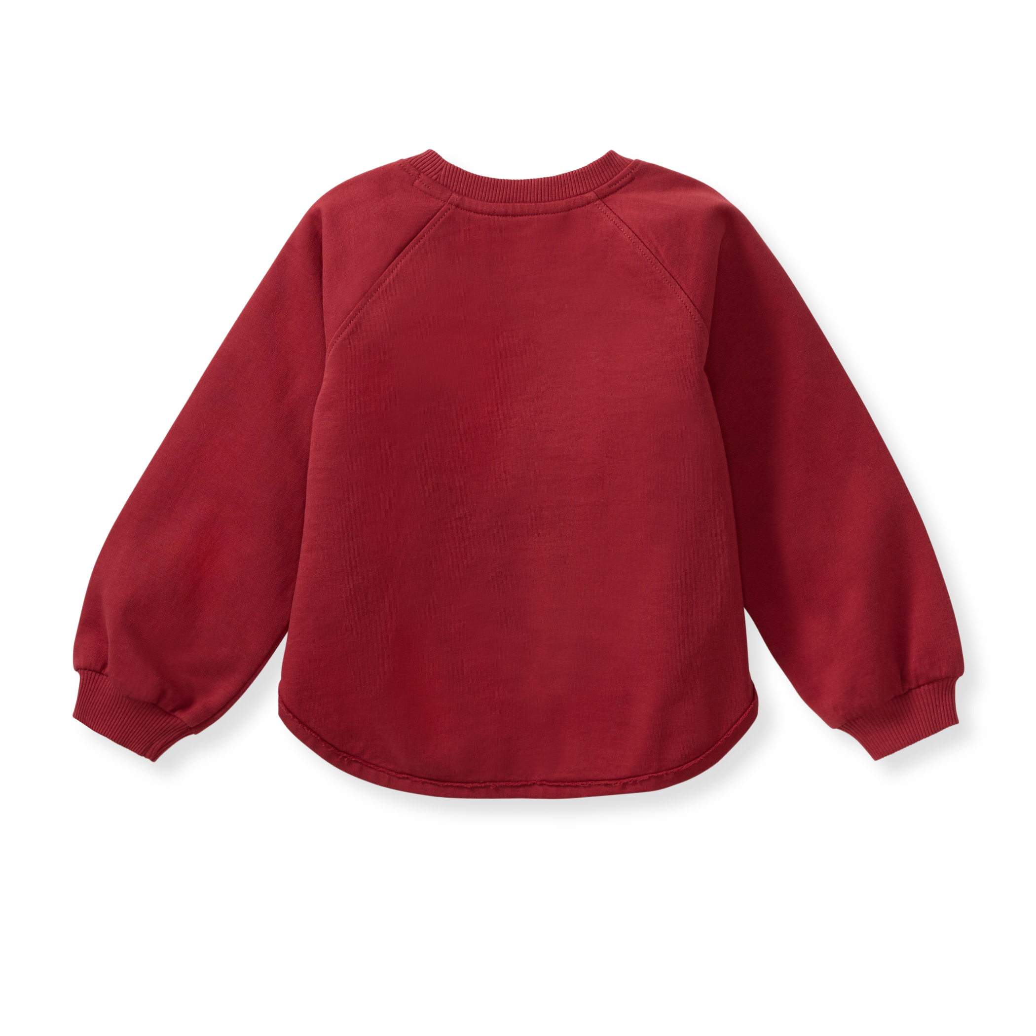 Believe Organic Cotton Sweatshirt – Burt's Bees Baby
