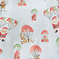 Santa In The Sky